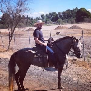 Meet your Posher, Harry